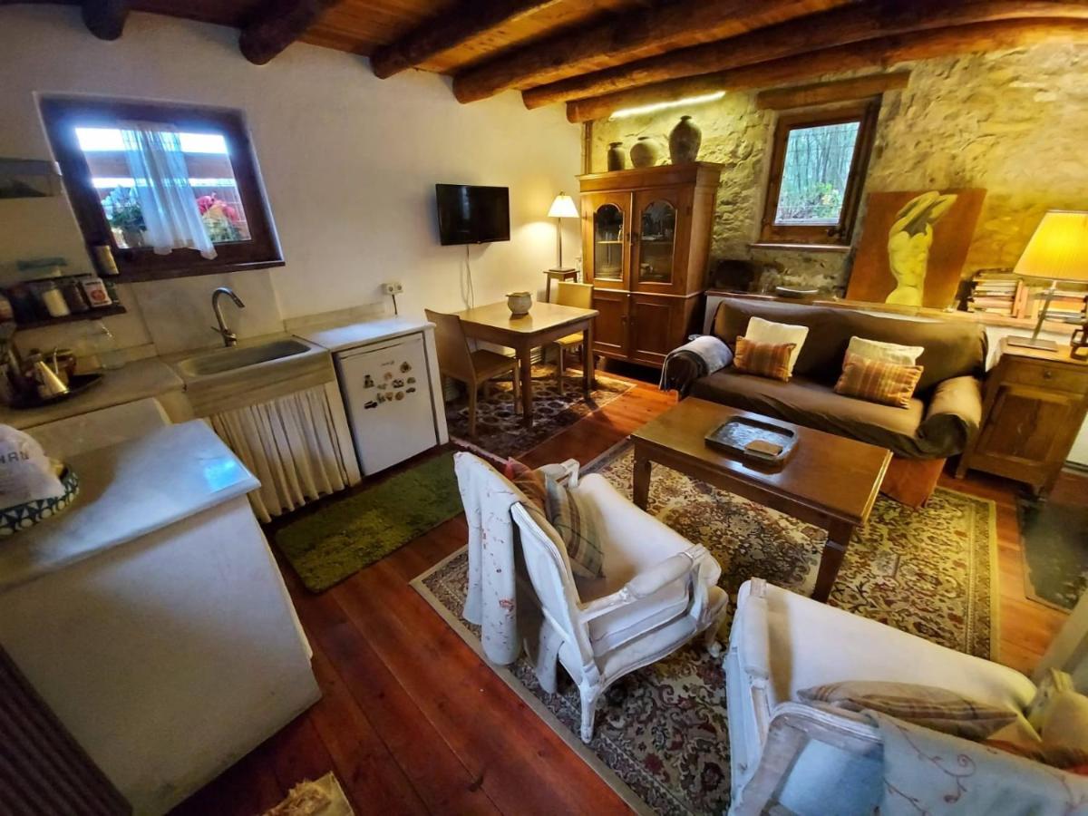 El Solei Paraiso En El Montseny Arbúcies Екстериор снимка