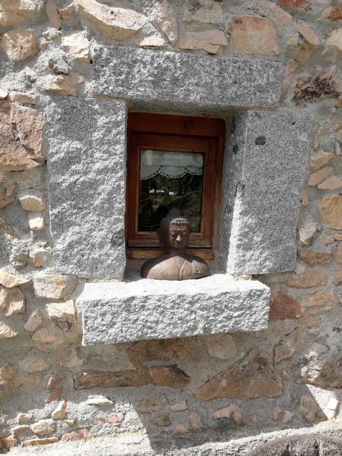 El Solei Paraiso En El Montseny Arbúcies Екстериор снимка