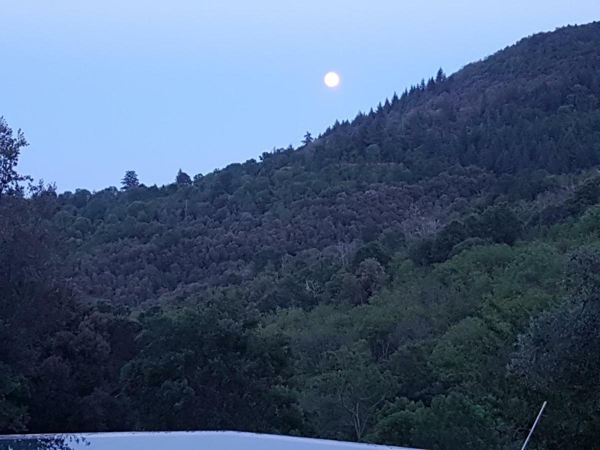 El Solei Paraiso En El Montseny Arbúcies Екстериор снимка