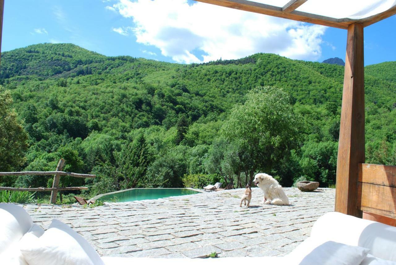 El Solei Paraiso En El Montseny Arbúcies Екстериор снимка