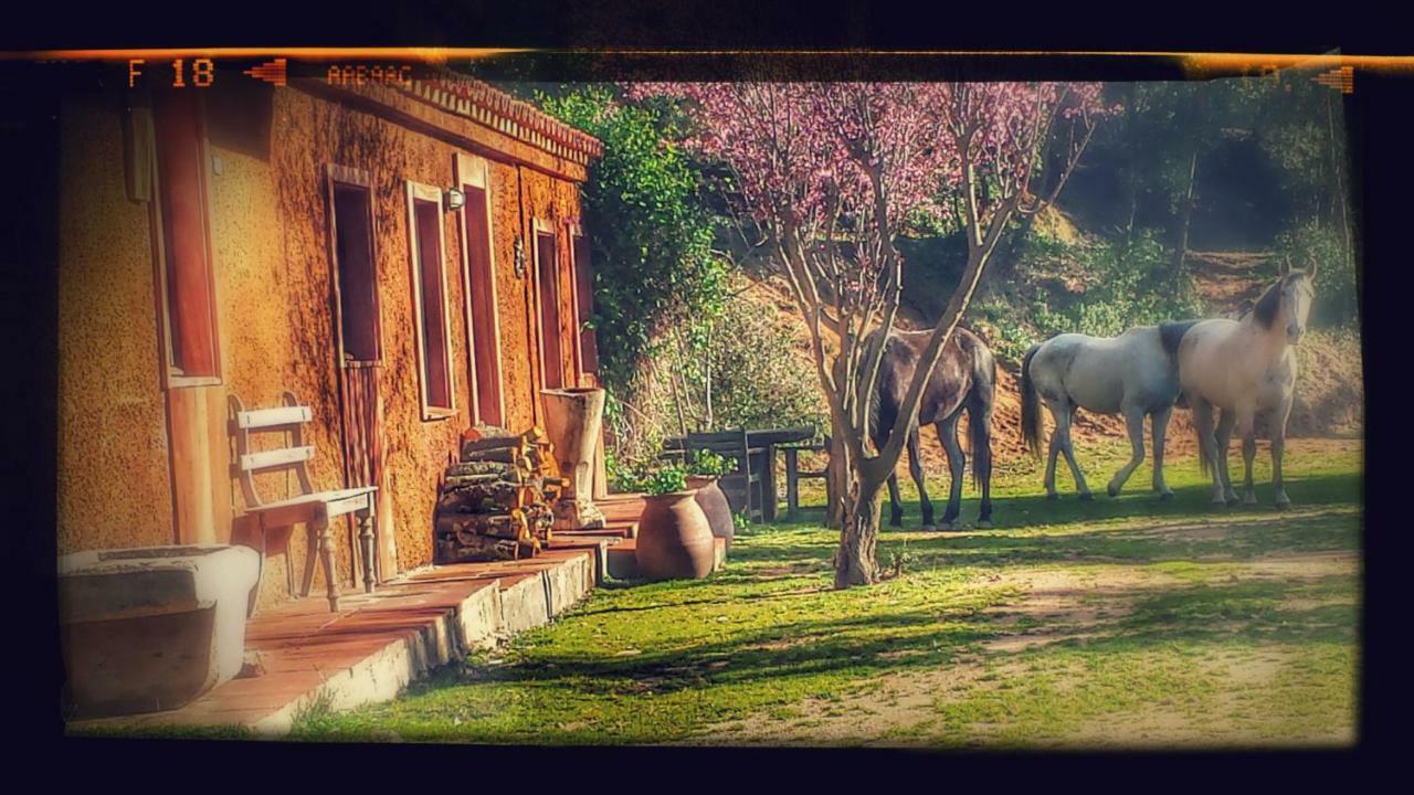 El Solei Paraiso En El Montseny Arbúcies Екстериор снимка