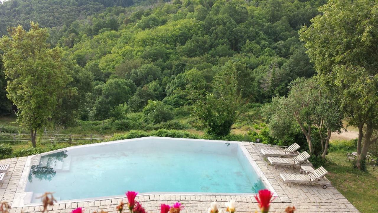 El Solei Paraiso En El Montseny Arbúcies Екстериор снимка